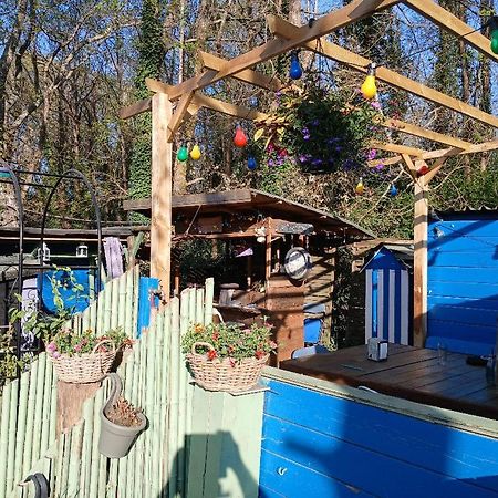 Maison 70M2 Calme Vue Sur Foret แซลส์ล ภายนอก รูปภาพ
